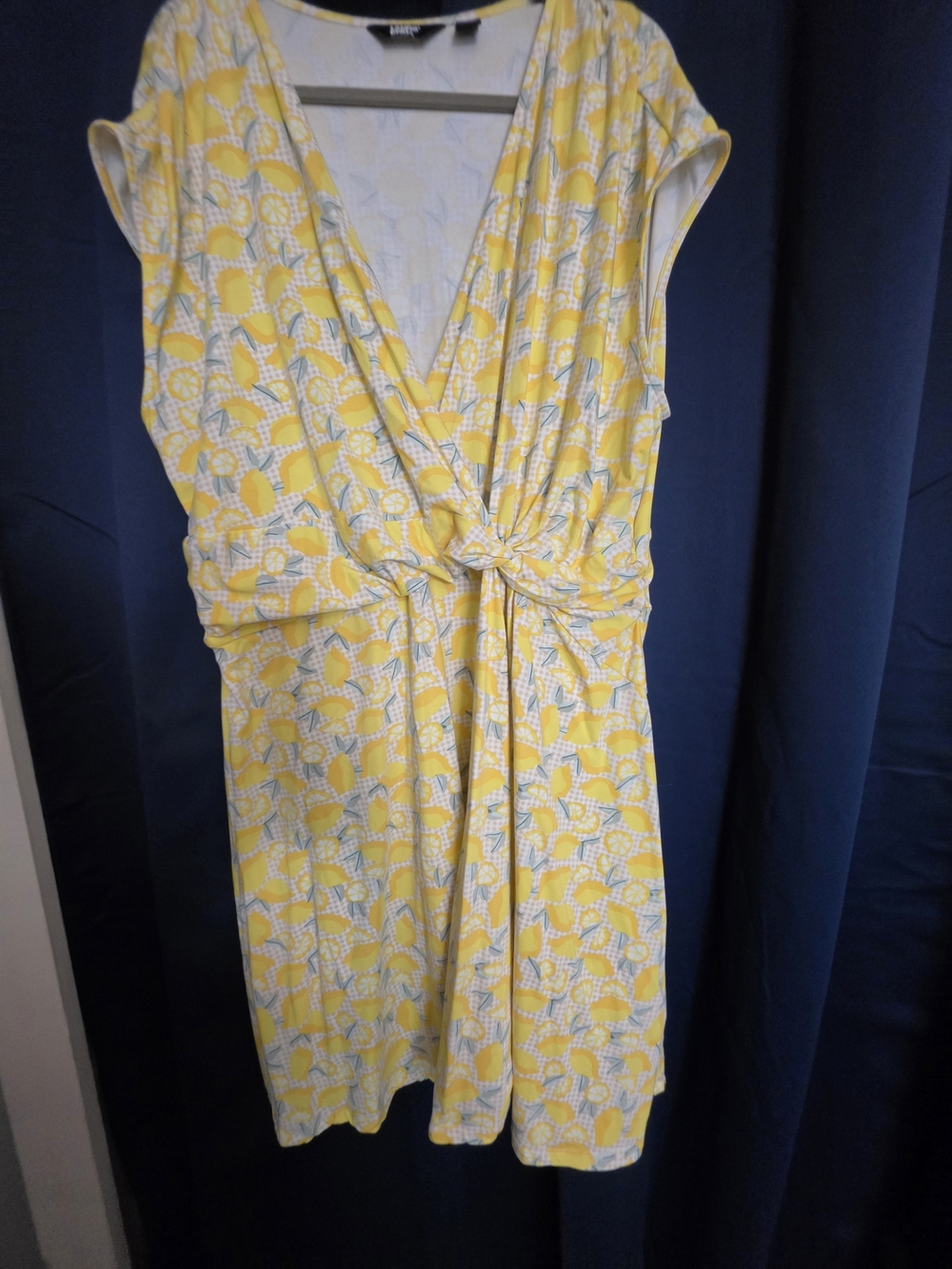 Lands' End Yellow Citrus-Print Short Sleeve Top